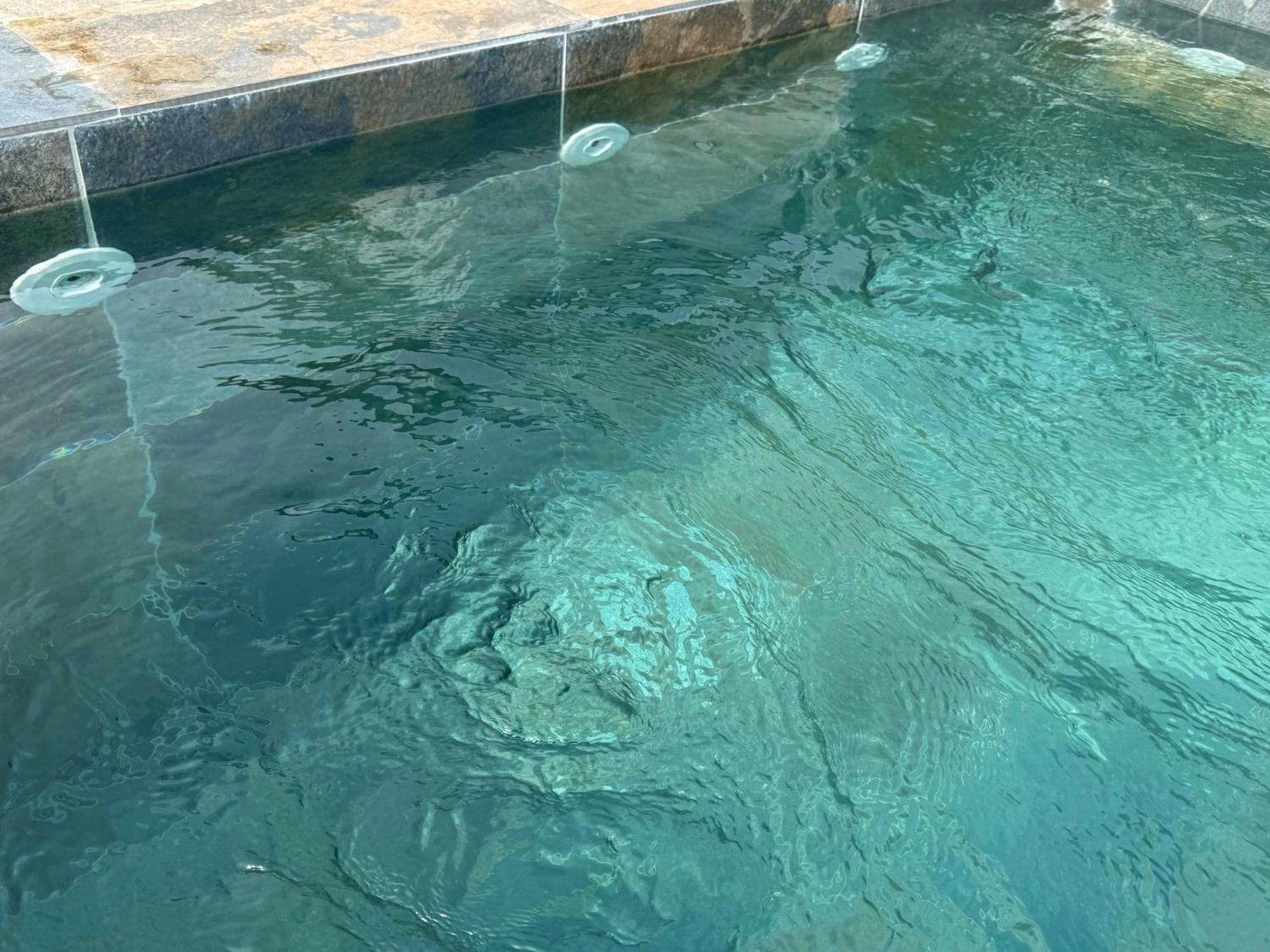 Tétouan Central Villa With Pool Garden 5Km Sea Cabo מראה חיצוני תמונה